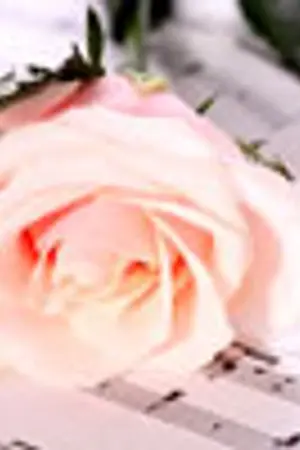 ปกนิยาย กลรัก...รอยเสน่หา