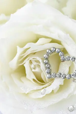 ปกนิยาย [YAOI] Hello Darling คนนั้น...ที่รักของผม