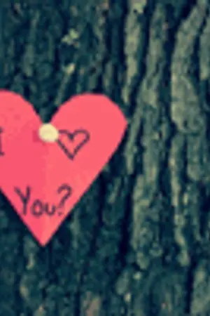 ปกนิยาย La La La It's love!?