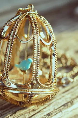 ปกนิยาย Song of the blue bird (rewrite)