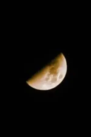 ปกนิยาย นิมิตรักรัตติกาล (Crescent Dream)