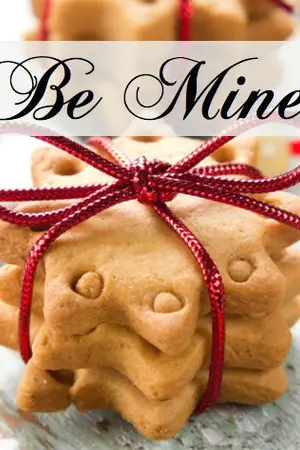 ปกนิยาย บังเอิญได้รัก (รุ้งพันดาว)