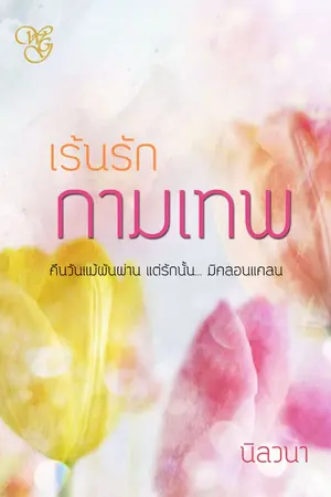 ปกนิยาย