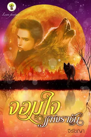 ปกนิยาย