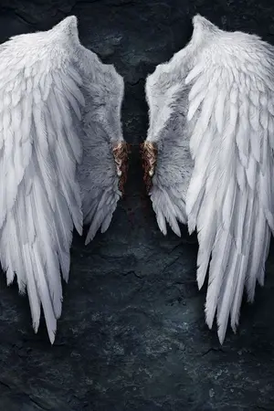 ปกนิยาย {FIC EXO} Broken Wing .. แบคนางฟว้า [ChanBaek] Yaoi