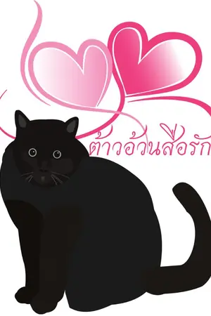 ปกนิยาย ต้าวอ้วนสื่อรัก