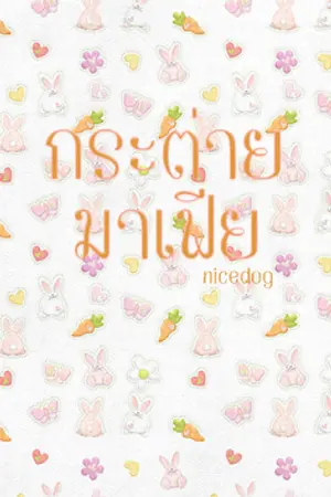 ปกนิยาย