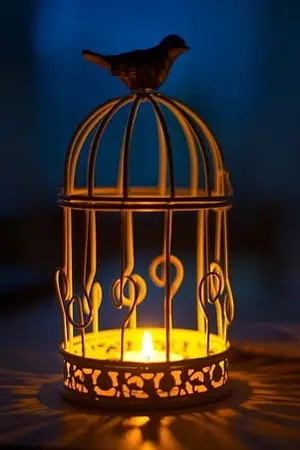 ปกนิยาย [Marriage&Mpreg] Marriage Vows #ในกรงทอง (Yaoi)