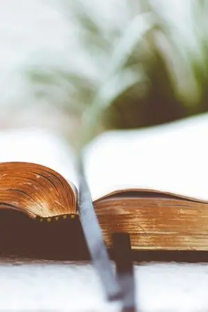 ปกนิยาย You're My World นิยายที่อ่านไม่จบ