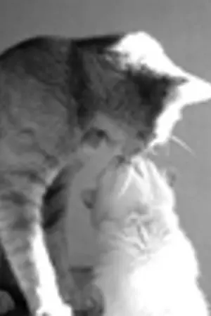 ปกนิยาย LUSCIOUS LOVE (HUNHAN)