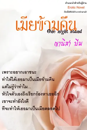 ปกนิยาย เมียข้ามคืน