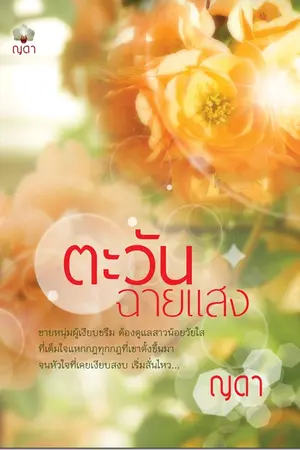 ปกนิยาย