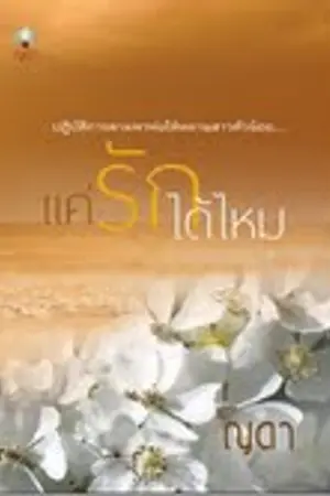 ปกนิยาย