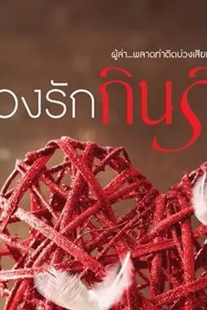 ปกนิยาย