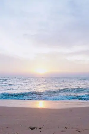 ปกนิยาย เพียงแสงตะวันของหัวใจ