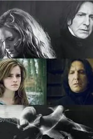 ปกนิยาย [SS/HG] You Should Know , I Love U My Profressor (END)