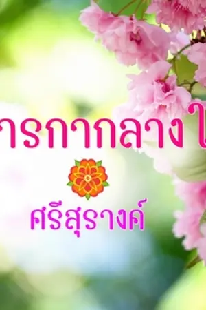 ปกนิยาย