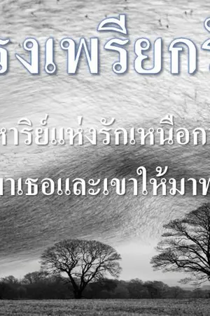 ปกนิยาย