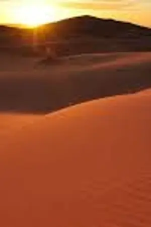 ปกนิยาย ทะเลทรายสีน้ำผึ้ง