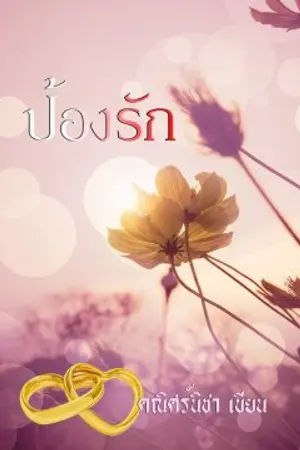 ปกนิยาย