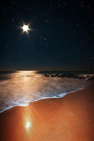 ปกนิยาย สัญญารักใต้แสงตะวัน