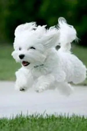 ปกนิยาย คลังนิยายของฉัน