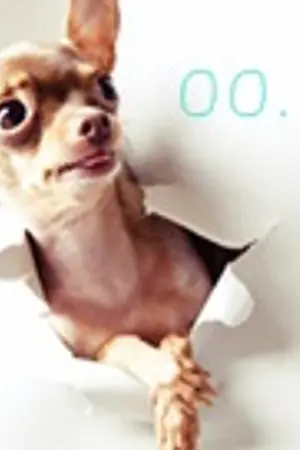 ปกนิยาย [WINNER] 00.15 - Hoondam