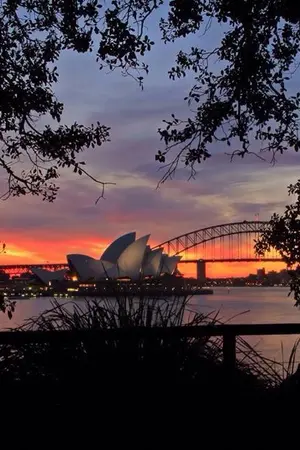 ปกนิยาย Sydney in Love