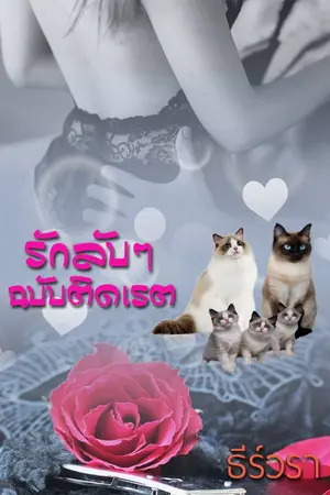 ปกนิยาย รักลับๆ ฉบับติดเรต (Re-up)