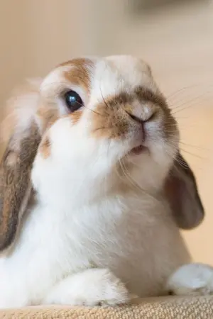 ปกนิยาย เรื่องสั้นแต่ต่อกันเป็นเรื่องยาว #ถึงวันนั้น #ไบร์ทมิวซ์ [จบแล้ว]