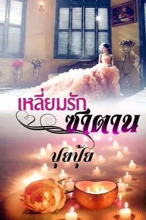 ปกนิยาย