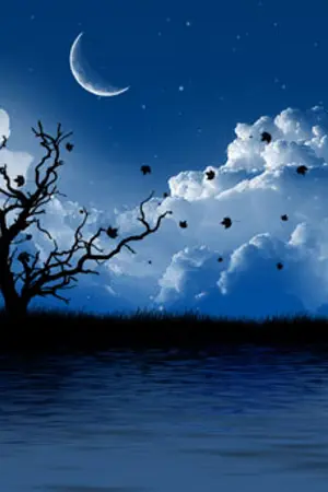 ปกนิยาย -ночь- NighTime' รับวิจารณ์นิยาย