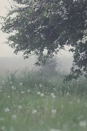 ปกนิยาย WONKYU - A field of mind