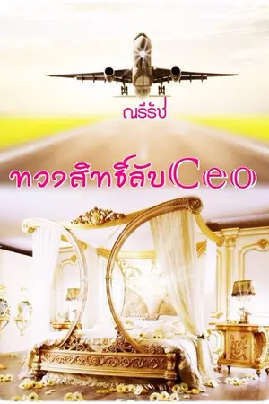 ปกนิยาย