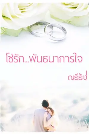 ปกนิยาย