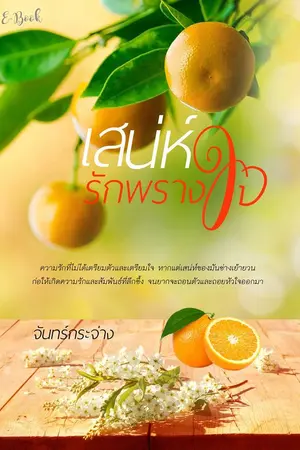 ปกนิยาย เสน่ห์รักพรางใจ