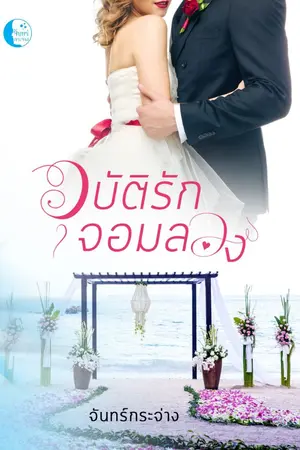 ปกนิยาย อุบัติรักจอมลวง