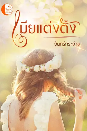 ปกนิยาย เมียแต่งตั้ง