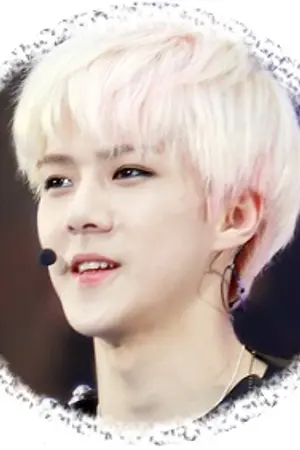 ปกนิยาย {Sehun x You }. My Secret Love Diary