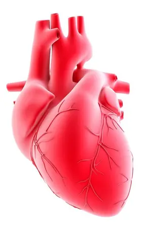 ปกนิยาย Nomin in my heart [NoMin]