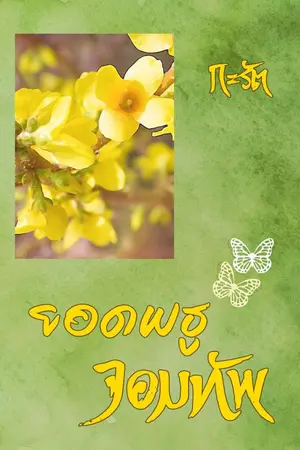 ปกนิยาย ยอดพธูจอมทัพ (ติดเหรียญและอีบุ๊ก)