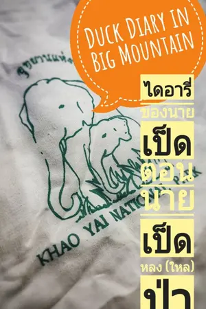 ปกนิยาย Duck Diary in Big Mountain ไดอารี่ของนายเป็ด ตอน นายเป็ดหลง (ใหล) ป่า