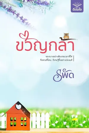 ปกนิยาย