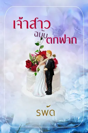 ปกนิยาย