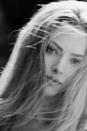 ปกนิยาย Beautiful Lilac