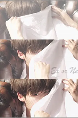 ปกนิยาย Ex or Next? เมื่อ... ผมจีบมนุษย์แฟนเก่า [yaoi]