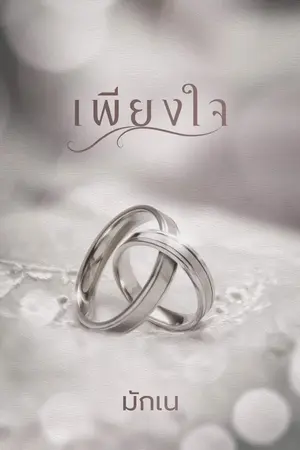 ปกนิยาย