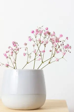 ปกนิยาย เสน่ห์รักตรึงใจ(จบแล้วค่า)