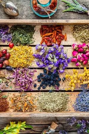 ปกนิยาย Walan's FanFiction :: Kimetsu no Yaiba