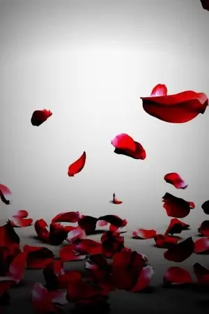 ปกนิยาย AGAIN... อีกครั้ง